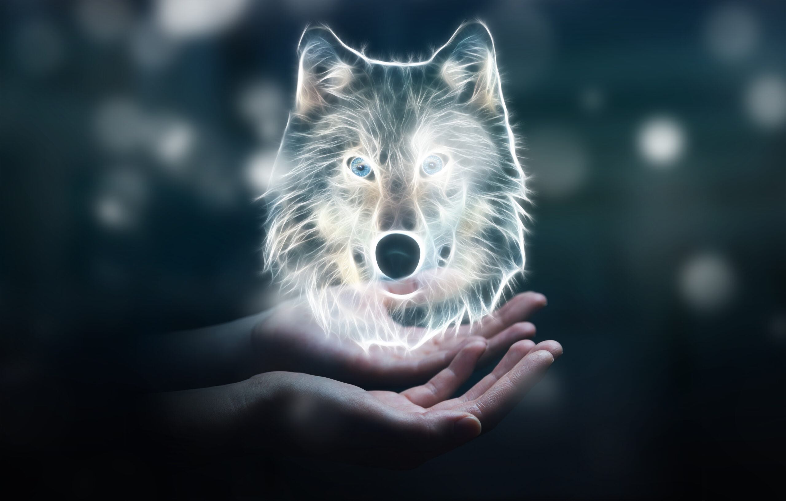 Person holding in his hand fractal endangered wolf illustration 3D rendering