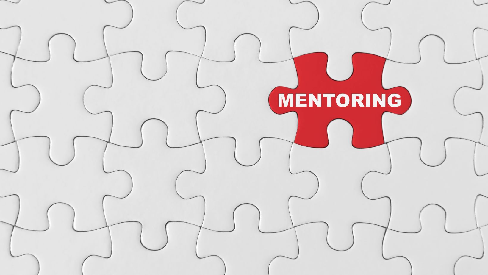 Photo of a puzzle with the word Mentoring on a puzzle piece.
