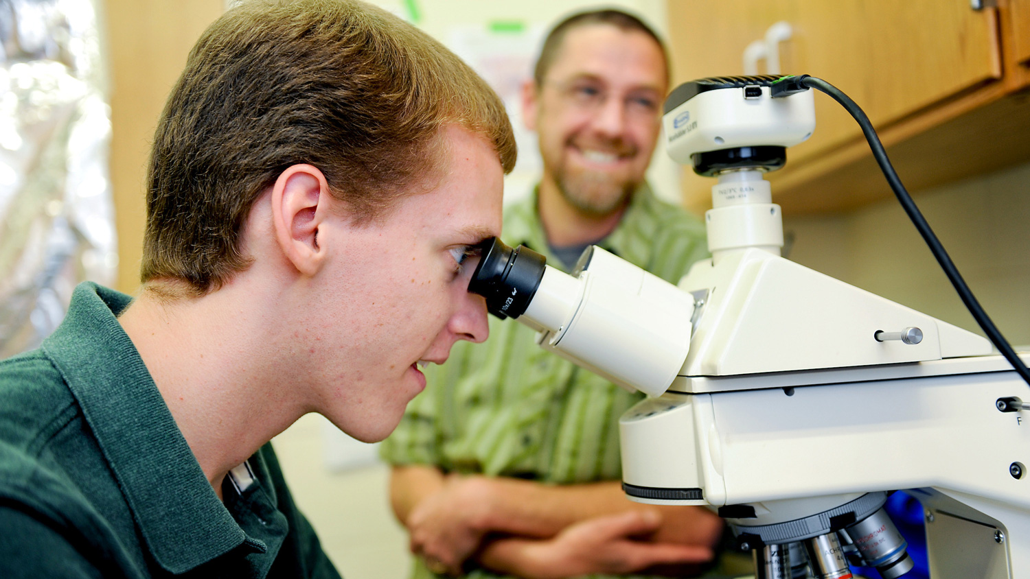 Provost's Professional Experience Program student working in lab