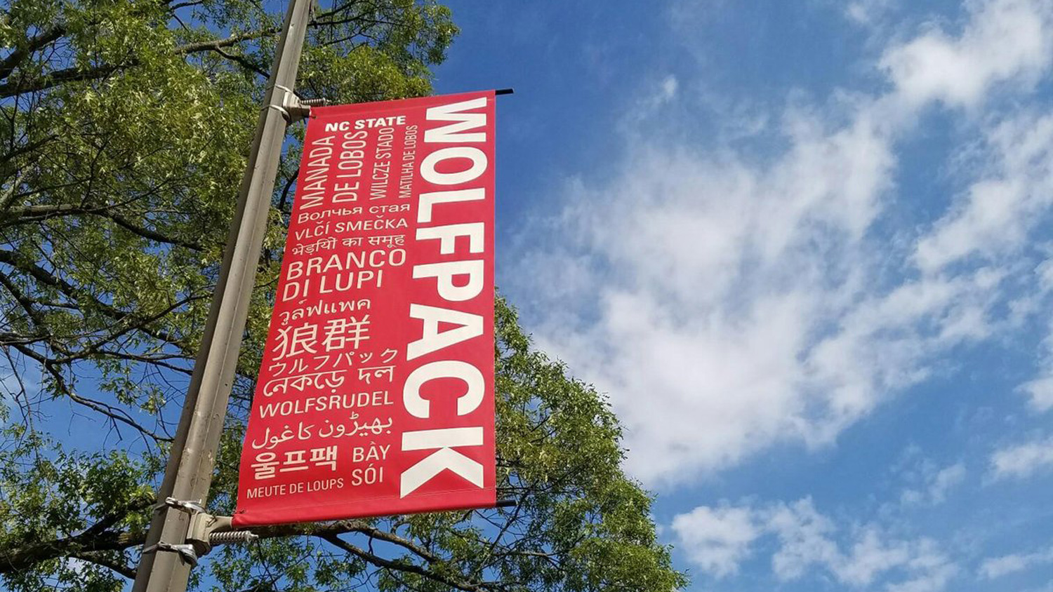 Wolfpack sign