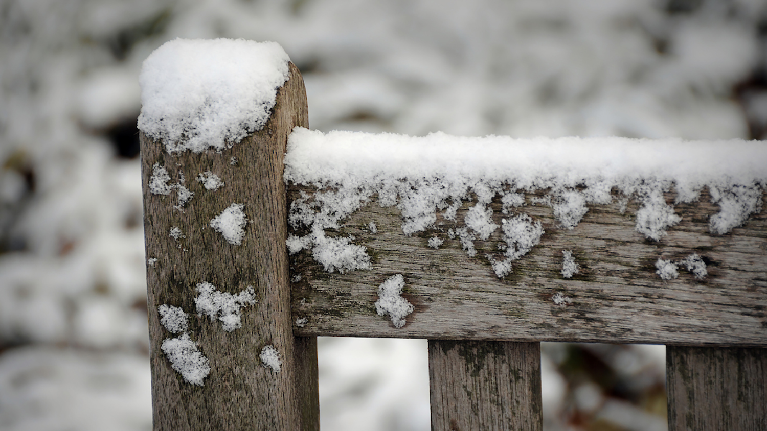 Snow on a bench in Yarborough Court.