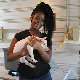 student holding a piglet