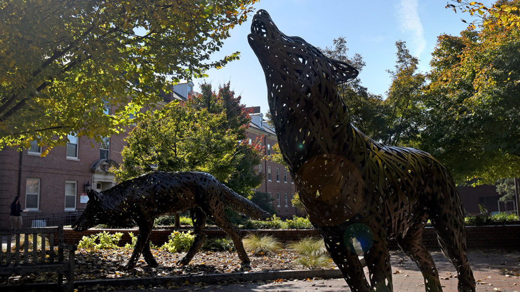 Copper Wolf on Central Campus in the fall.