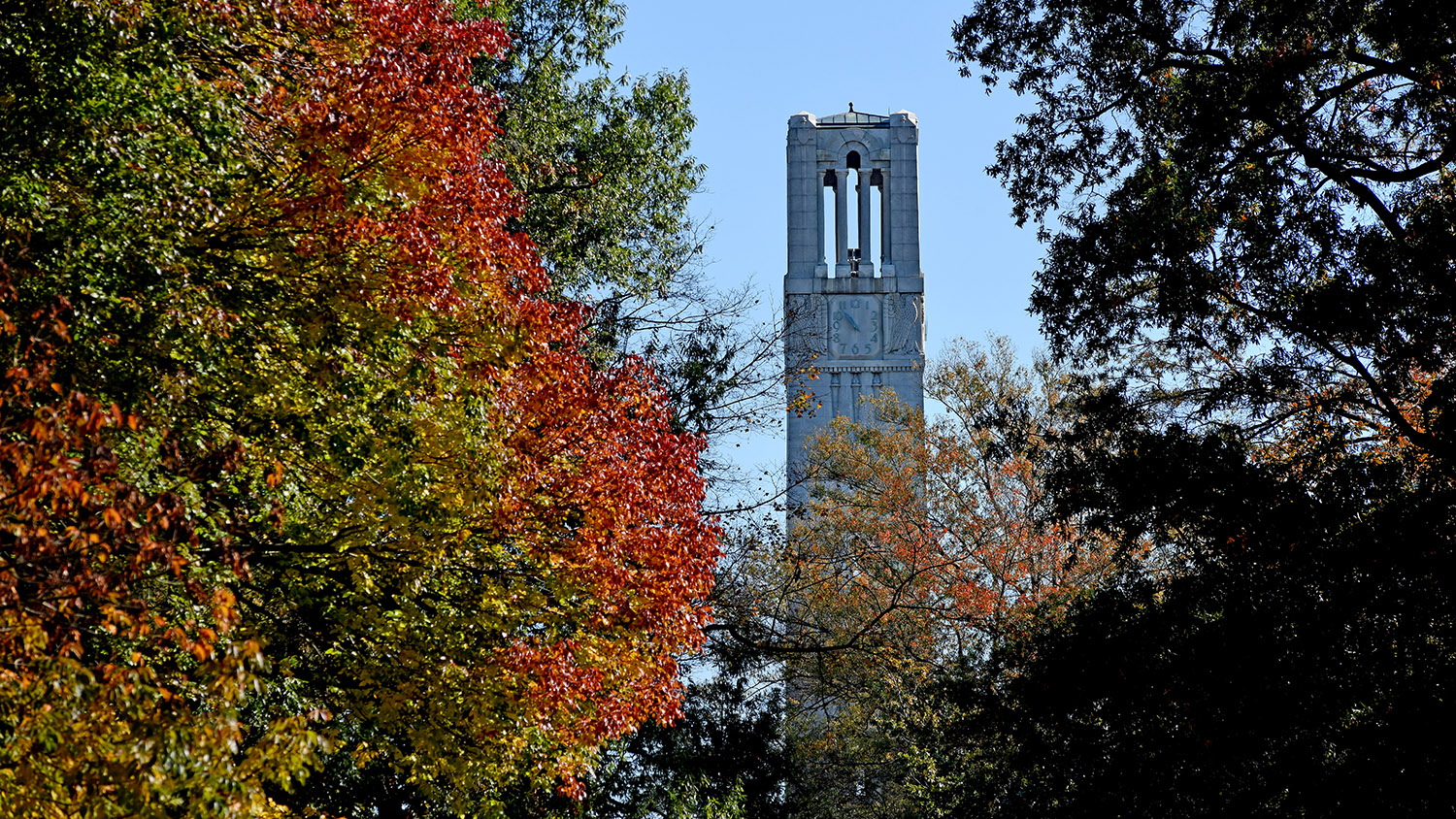 Trees burst with fall color on Court of North Carolina.