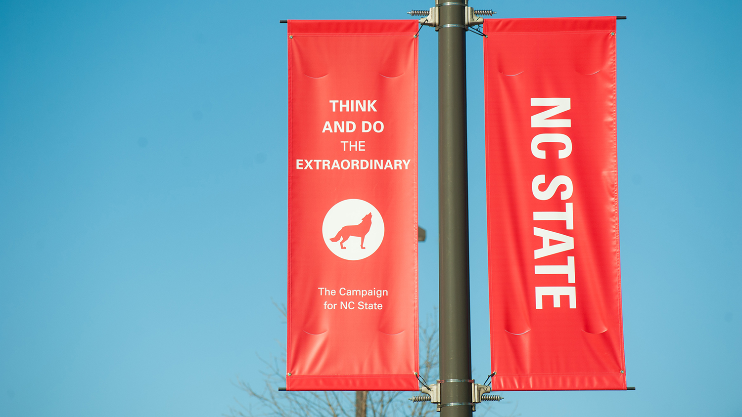 Think and Do banners