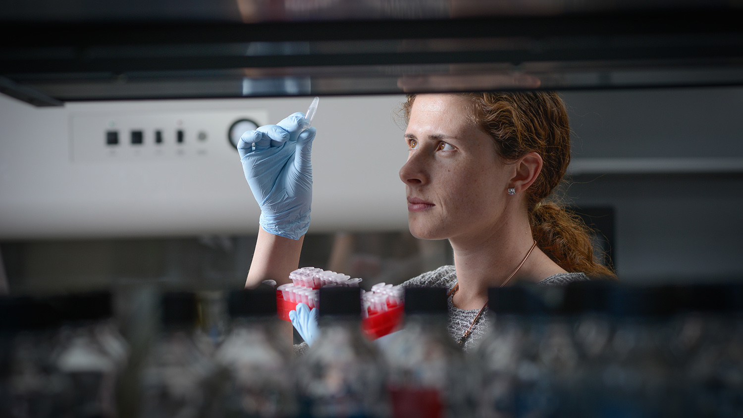 scientist in lab