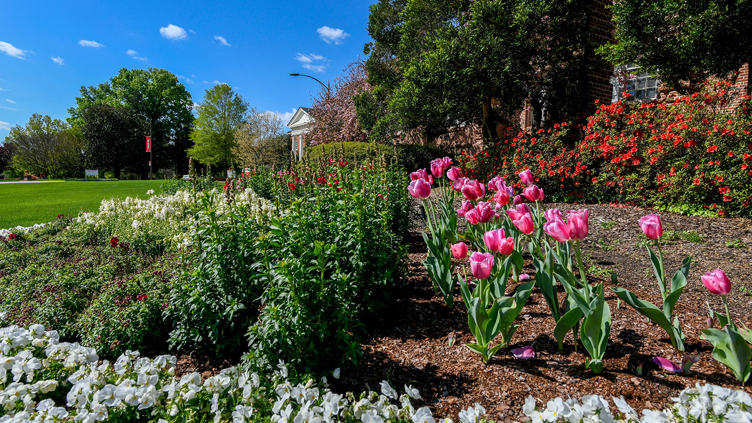 Holladay Hall in the spring