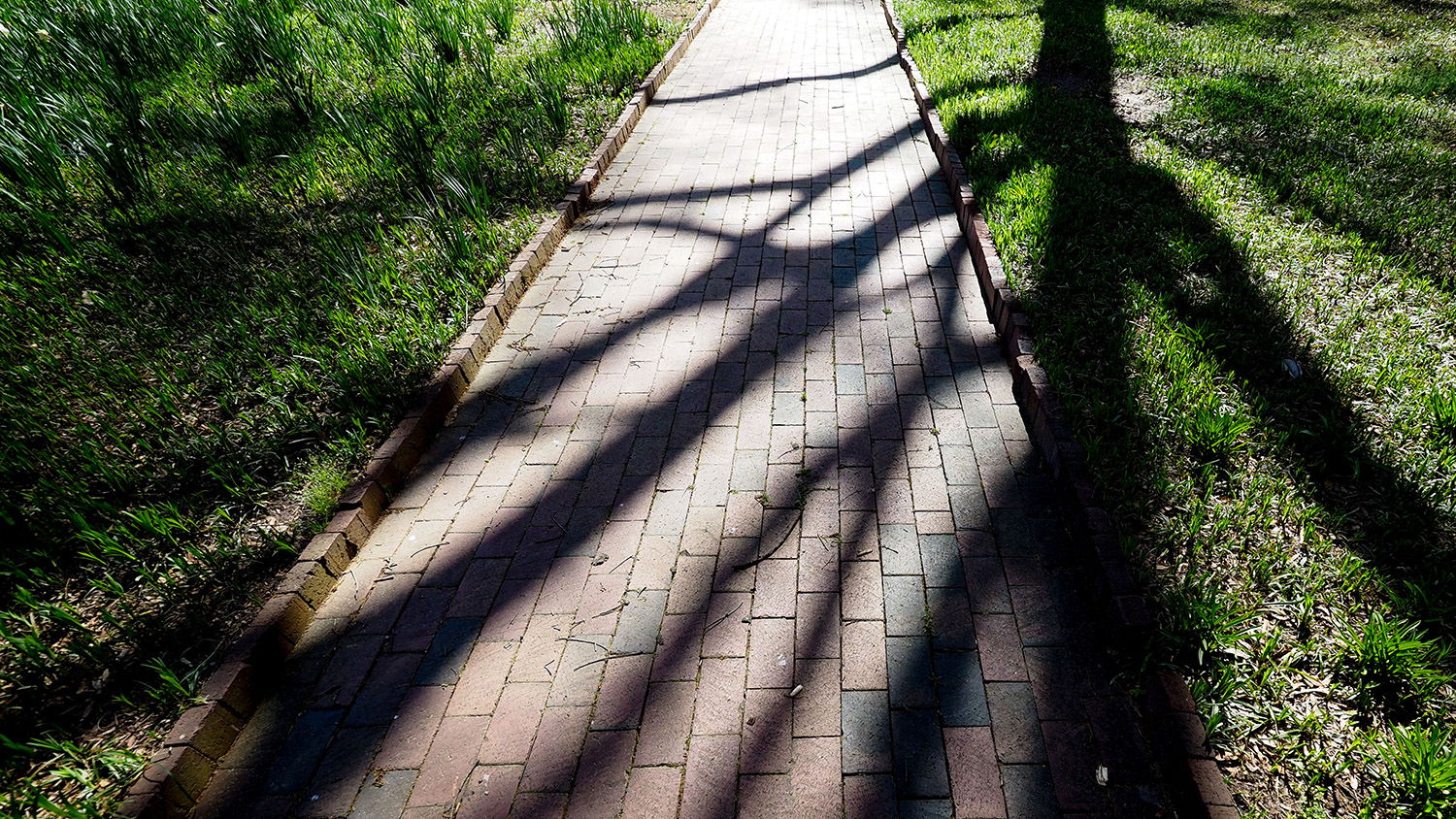 brick walkway