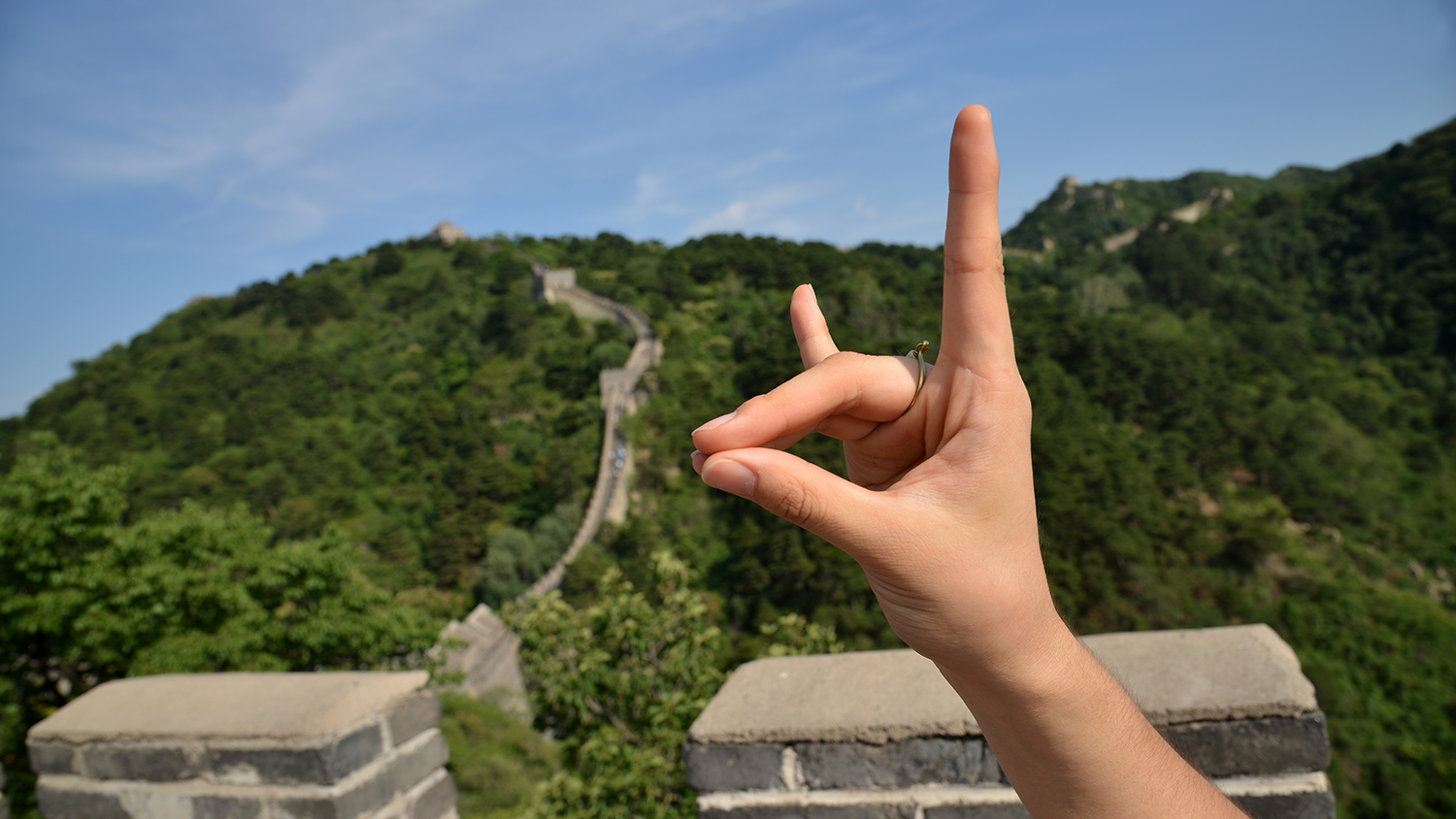 Wolf hand along the Great Wall.