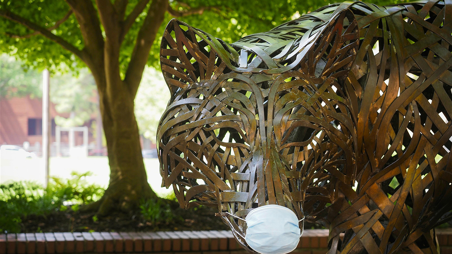 copper wolf with mask