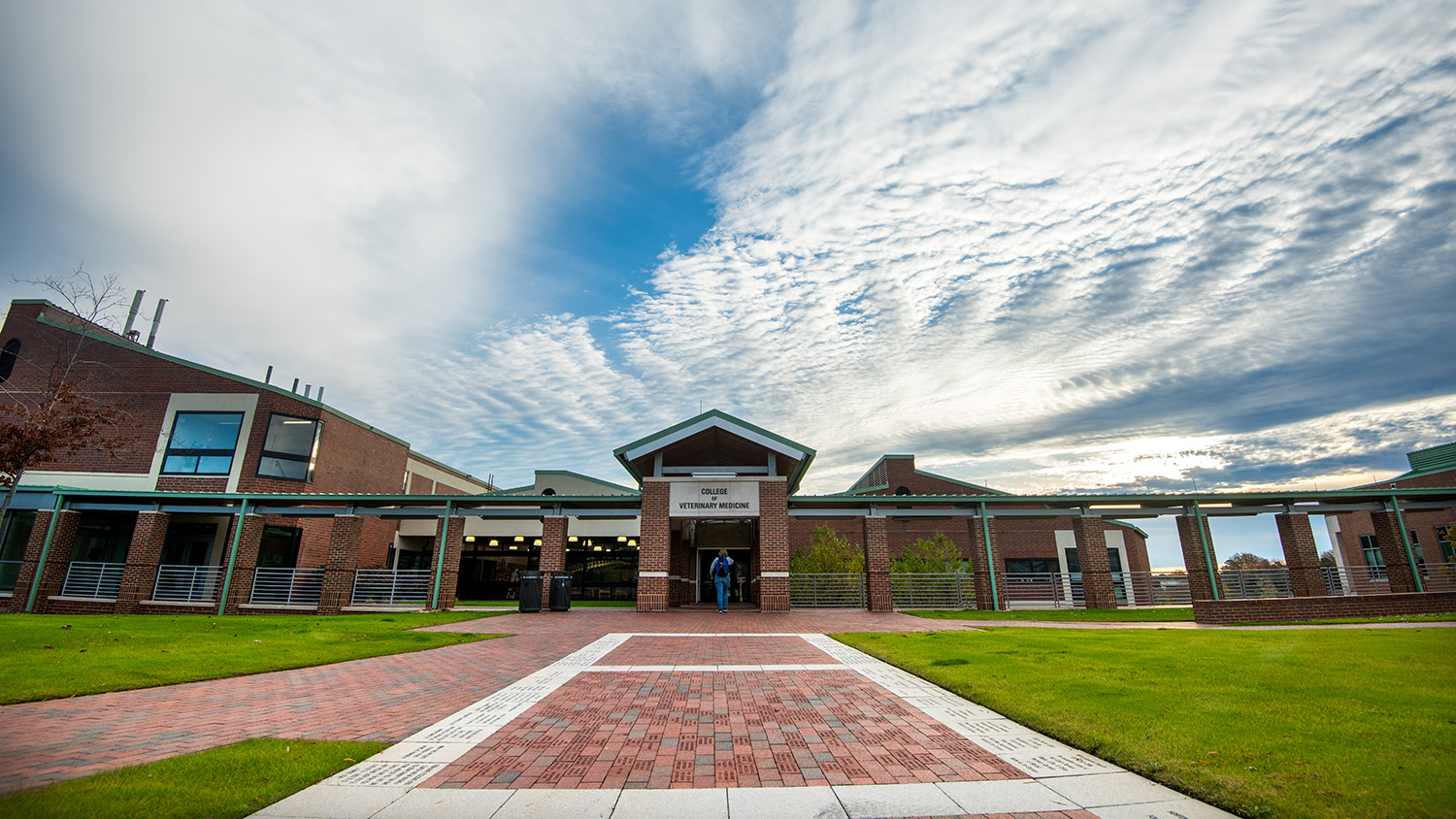 Search For Dean Of The College Of Veterinary Medicine Now Underway 