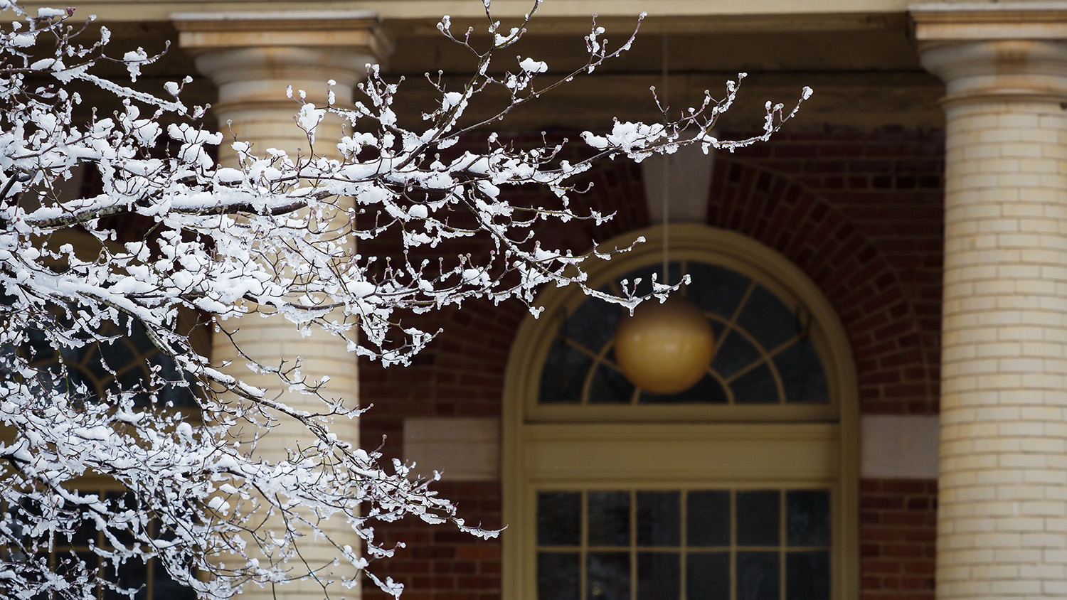 Snow covered brances frame the entracne to Leazar Hall.