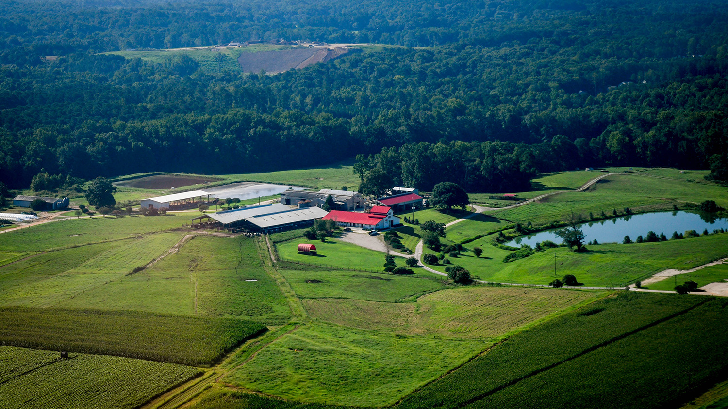 Lake Wheeler field labs