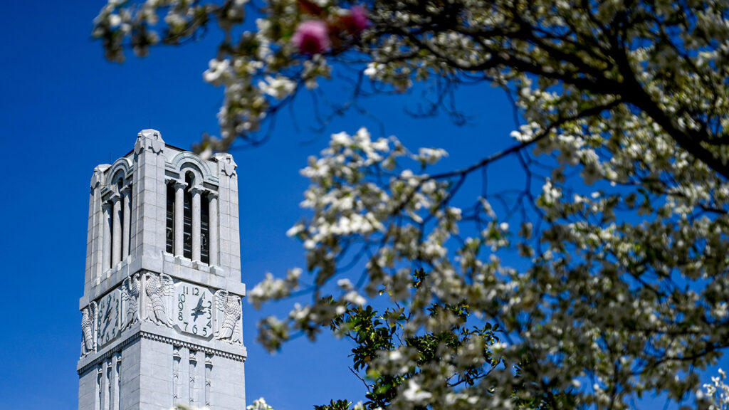 Spring blooms around the Belltower.