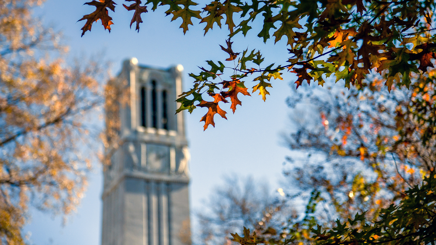 The Belltower provides a backdrop for colorful fall leaves. 
