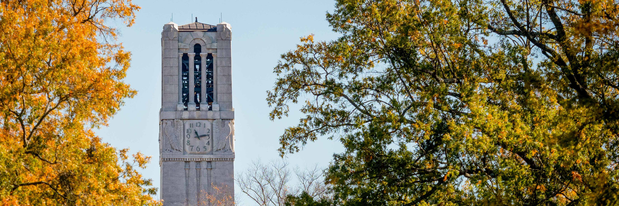 The Memorial Belltower surrounded by fall leaves.