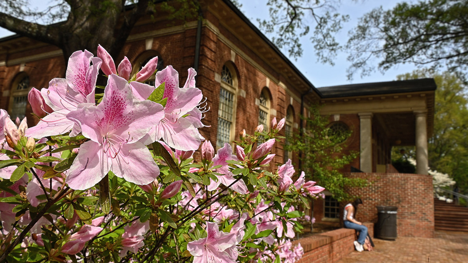 Spring flowers bloom in front of Leazar Hall