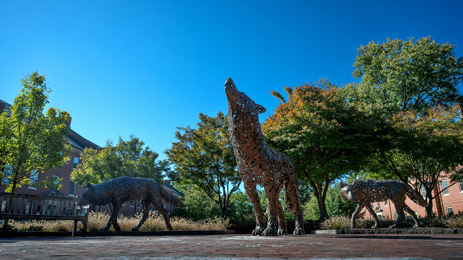 copper wolf statues