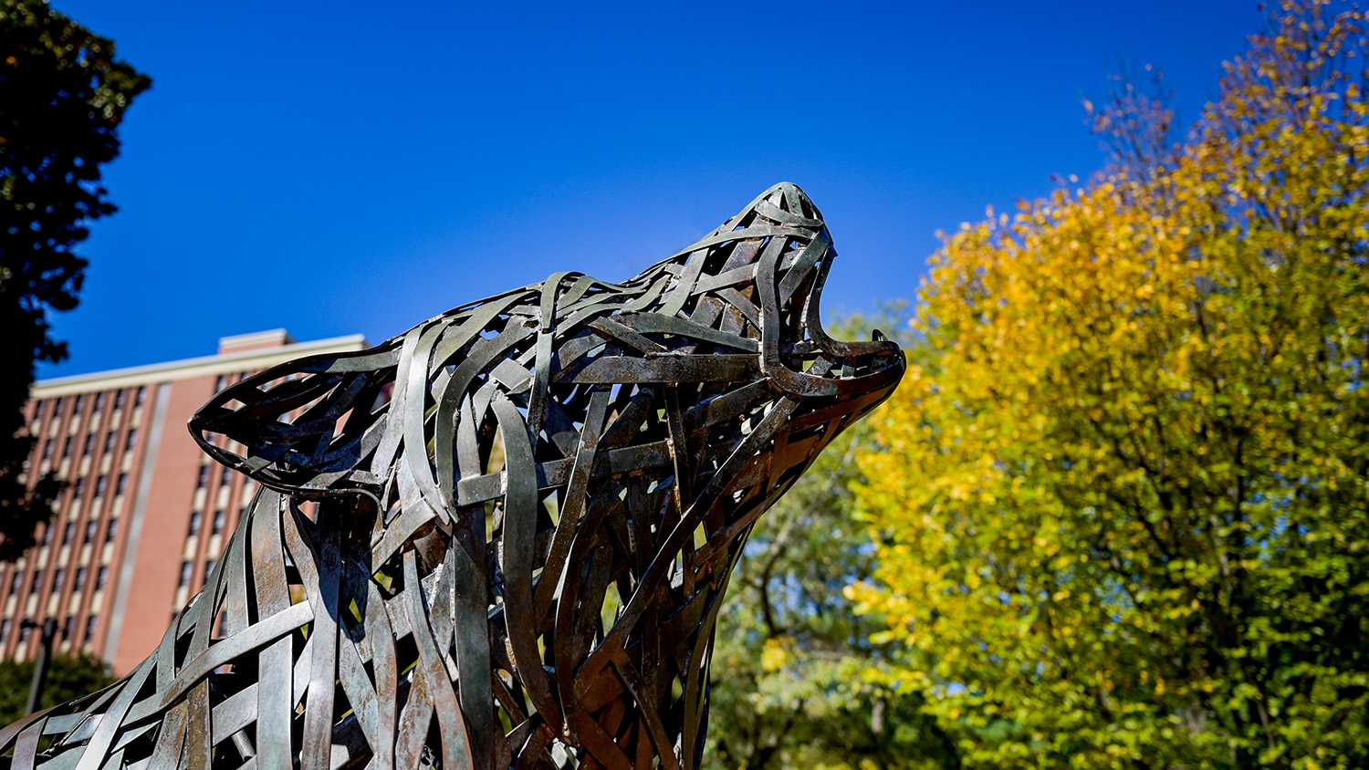 Copper wolf statue