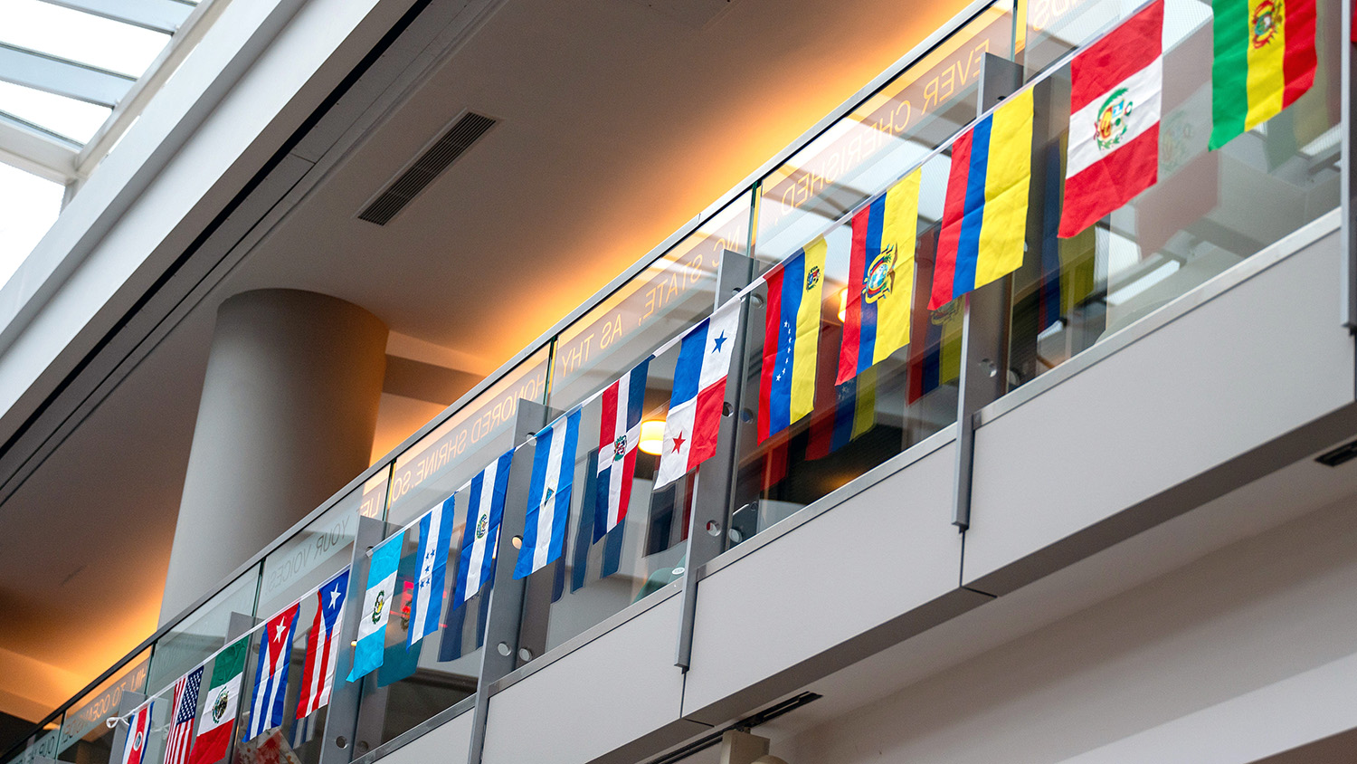International flags on display