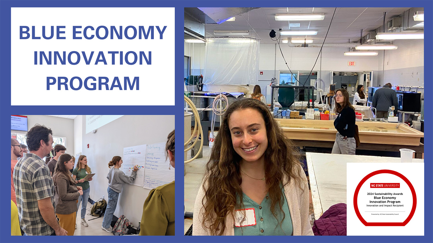 Blue Economy Innovation Program