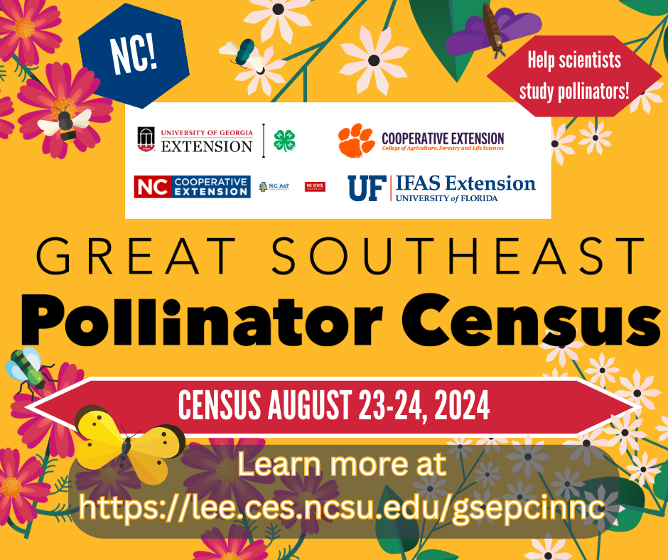 Great Pollinator Census 2024