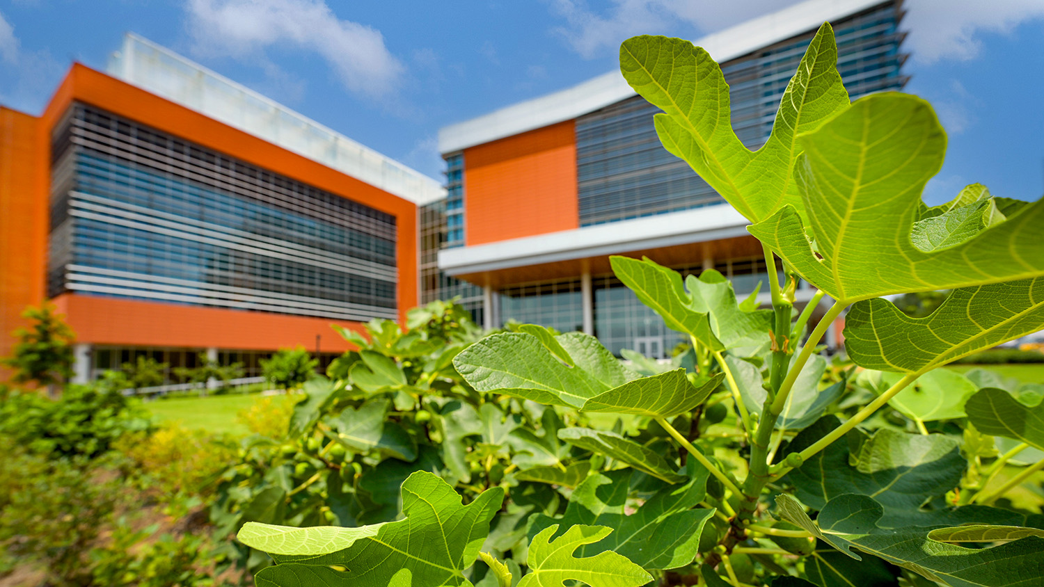 Plant Sciences Building on Centennial Campus
