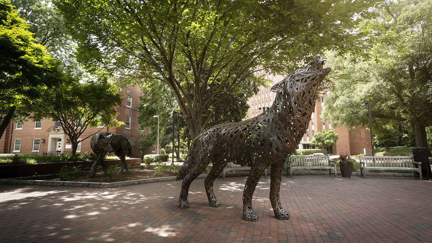 copper wolves at Wolf Plaza near Talley student union