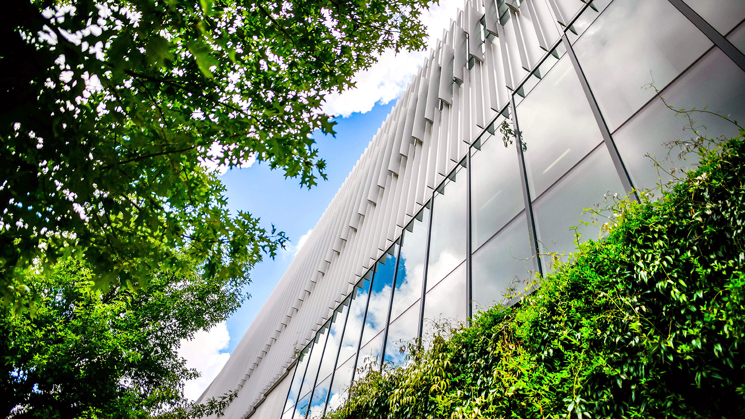 Hunt Library is framed by greenery on a sunny September day.