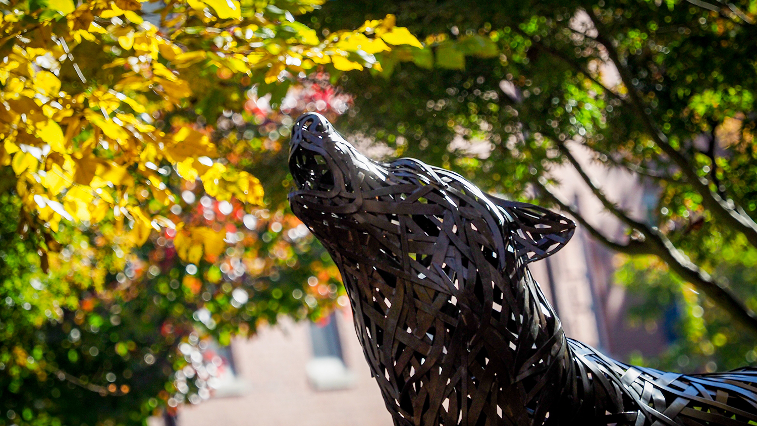 Fall foliage frames the copper wolves at Wolf Plaza.