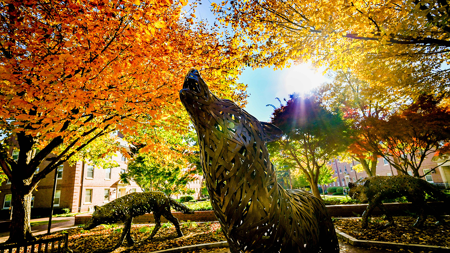 copper wolf statue in the fall