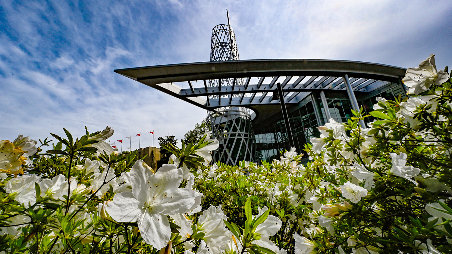 Spring blooms frame the Talley Student Center on a warm spring afternoon