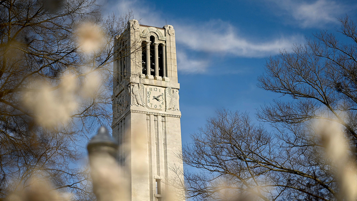 The Belltower, framed by early spring blooms in late February.